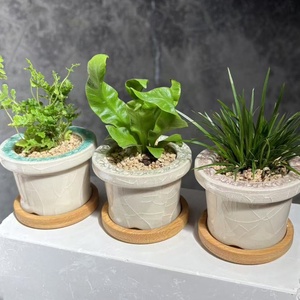 Macetas de Cerámica Minimalistas con Acabado Glaseado Efecto Grieta de Hielo <span class=keywords><strong>para</strong></span> <span class=keywords><strong>Cactus</strong></span> <span class=keywords><strong>y</strong></span> Plantas Verdes, Macetas Pequeñas de Mesa <span class=keywords><strong>para</strong></span> Flores - Product Image 4