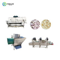 Set voor de productie van knoflookpuree met lage investering, eenvoudig te bedienen batch-kruidenverwerkingsapparatuur, productielijn voor knoflookpuree