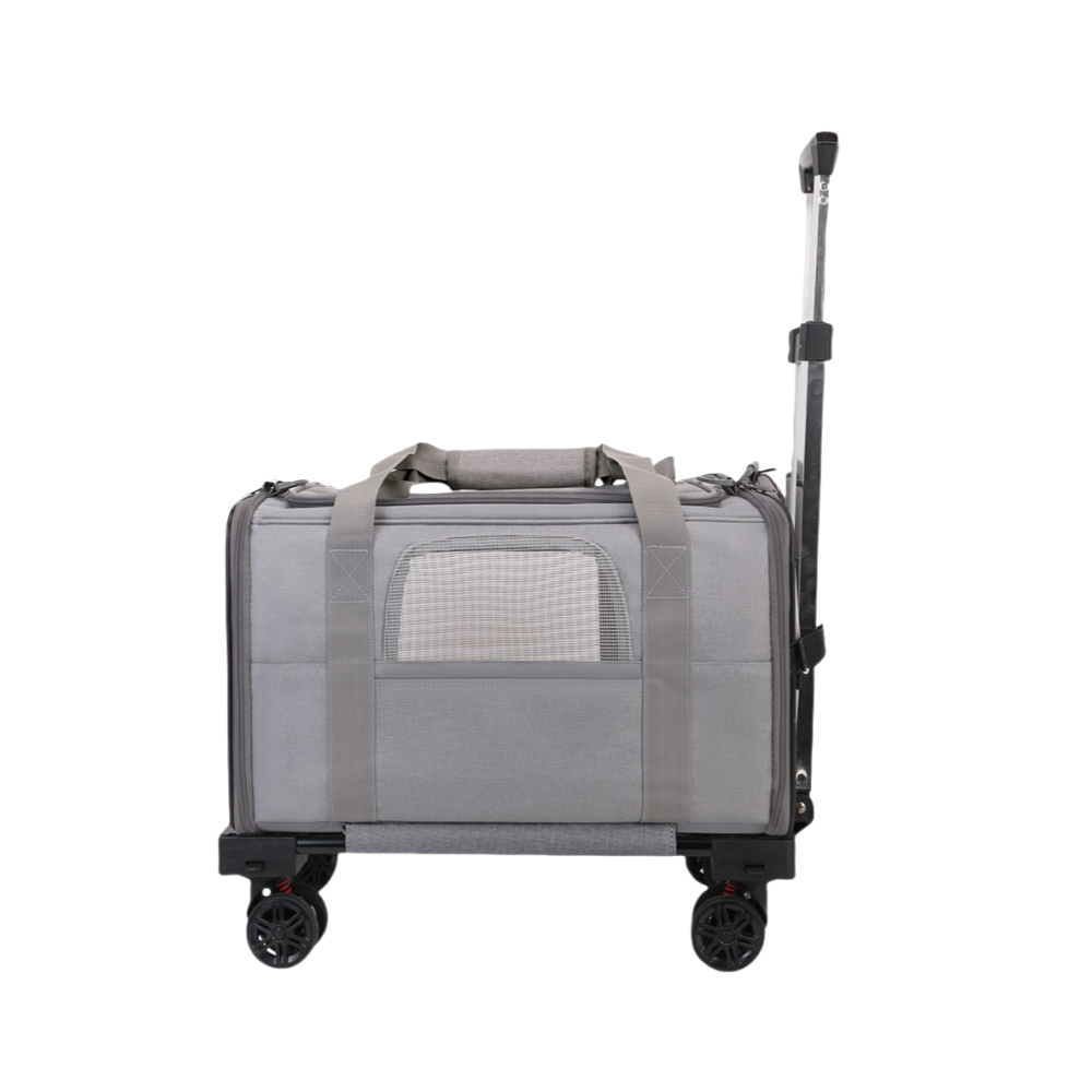 Gris avec garniture grise