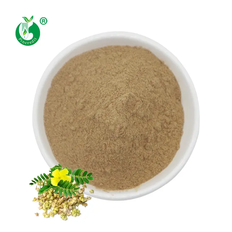 Bột Chiết Xuất Tribulus Terrestris Bán Chạy Tribulus 90% Saponins 40% Protodioscin