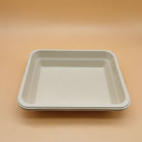 Hot Sale Kompost ierbare Gerichte Zuckerrohr Bagasse Biologisch abbaubare Gemüse fleischs chale
