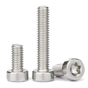 Suministro Directo de Fábrica, Tornillo de Perfil Bajo de Acero Inoxidable 304 de Alta Calidad, Tornillo de Cabeza Torx con Rosca Interna de Varios Tamaños M3 M5 M6 - Product Image 5