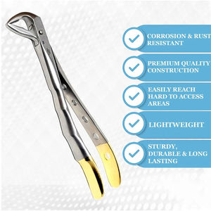 Forceps d'extraction en acier inoxydable n° 7 pour racines supérieures, modèle anglais, instruments dentaires certifiés CE 2026 - Product Image 4