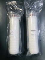 JC JINCHUN PES Pleated Filter Cartridge 0.1m-10m Titik Gelembung Tinggi untuk Filtrasi Air Kemurnian Tinggi Makanan & Minuman 1,5 Tahun