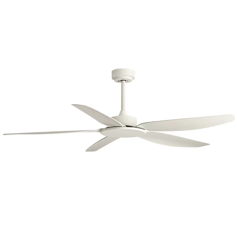 HOFZHI nuovissimo design modello da 49/58 pollici 679 ventilatore da soffitto moderno diametro 150cm