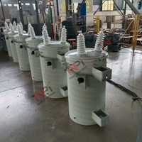 Transformateur monophasé/triphasé monté sur poteau pour lignes de distribution aériennes 11kV/33kV