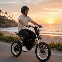 Vélo Électrique Urbain Spot Goods Colorful Light Bee avec Moteur Central 60V Haute Vitesse 750W, Longue Autonomie, Freins à Disque Hydrauliques en Alliage d'Aluminium