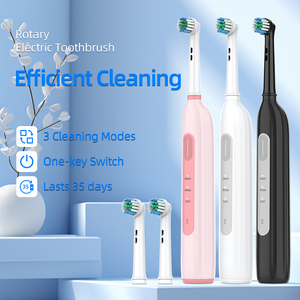 Baolijie giá rẻ Giá bán buôn 3 chế độ chăm sóc răng miệng USB có thể sạc lại bx11 Sonic làm trắng bàn chải đánh răng điện - Product Image 3