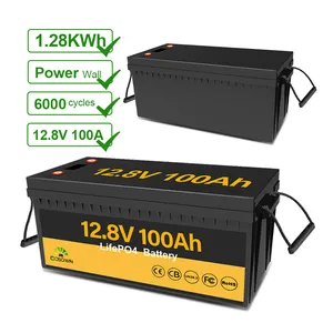 12V 25,6 V 300ah Lifepo4 Batería 200ah 100ah Baterías de litio 6000 + Ciclos 1kw 2kw 5kw Para Rv Boat Solar 5 años de garantía