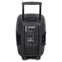 2025 12 pouces échantillon gratuit disponible système de son HIFI professionnel 60W haut-parleurs de moniteur de scène active pour Home cinéma en plein air