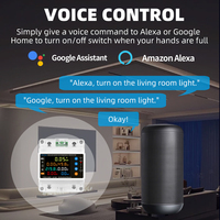 Compteur d'énergie bidirectionnel intelligent Tuya WiFi 2P 100A, relais de protection contre les surtensions 100 % étanche avec minuterie intelligente Smart Life