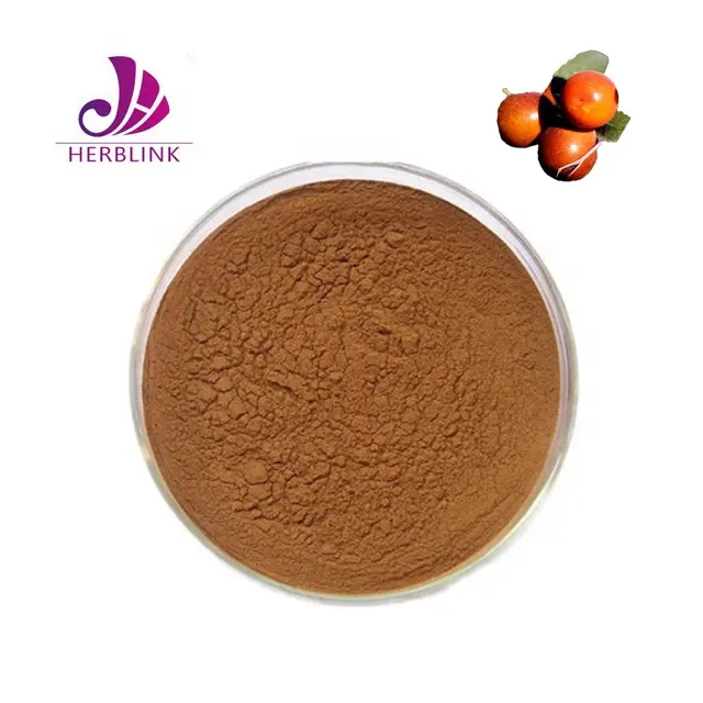 Factory Hot Sell Chinese Red Date powder Jujuba Seed Extract Jujube Extract Powder