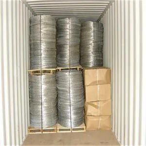 Barrera DE SEGURIDAD DE <span class=keywords><strong>concertina</strong></span> de alta resistencia, cercado de alambre de maquinilla de afeitar galvanizado, revestimiento de PVC, alambre de acero anticaída para seguridad - Product Image 5