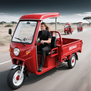 Tricycle de transport de marchandises à trois roues de haute qualité, robuste, forte capacité de charge, véhicule de transport de marchandises électrique pour adultes - Product Image 5