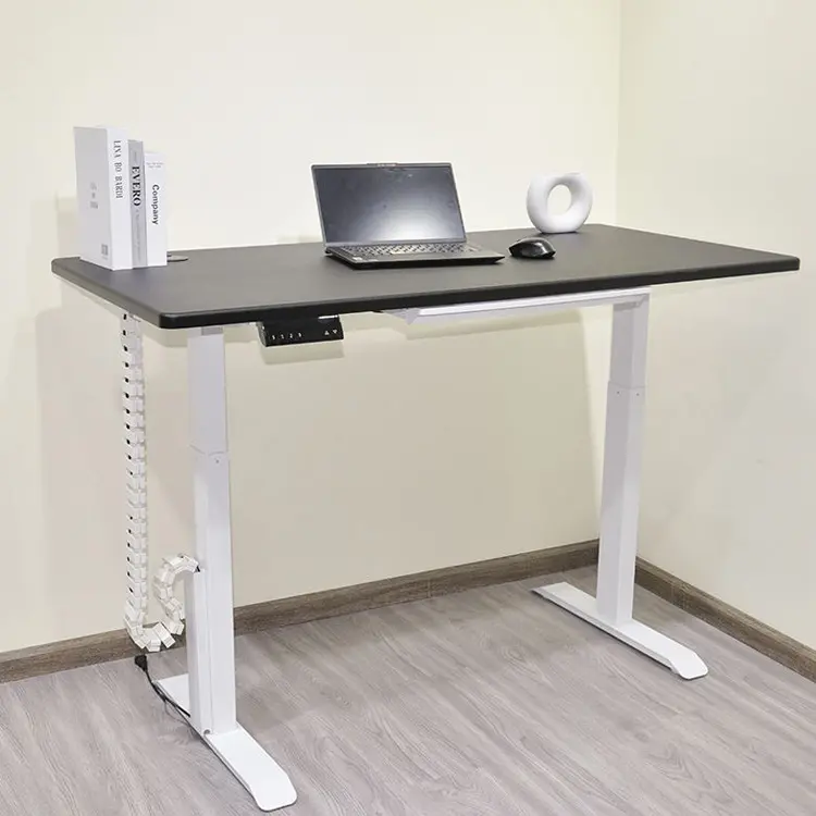 2023 Dual Motor Standing Desk Frame Height Adjustable Tabletop Electric Sit Stand Lift Desk