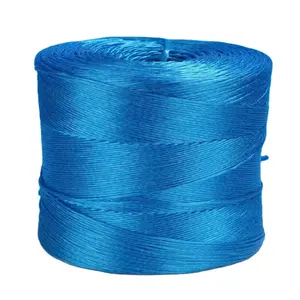 Colorful Plastic Polypropylene Baler Twine With Low Price Biodegradable For Agriculture Tying Tape Packing Raffia Hay Baler 2MM