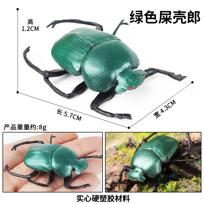 ด้วงมูลสีเขียว M-2920 สีสันสดใส