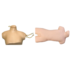 Ada โมเดลลำตัวเจาะกลางแบบทำงานได้อย่างสมบูรณ์และโมเดลการเจาะหลอดเลือดดำส่วนกลาง - Product Image 1