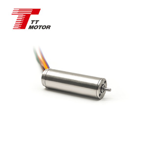 Moteur sans balais creux de 10 mm de diamètre, compatible avec les encodeurs incrémentaux et absolus. Personnalisation disponible. - Product Image 1