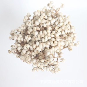 Flores de Leite Pequenas, Vendendo Bem, Frutas Brancas Naturais Secas, Fábrica de Yunnan, Decoração DIY para Casamentos, Festivais e Festas em Casa - Product Image 1