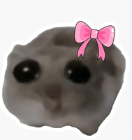Peluche Meme Hamster Triste avec Musique et Chansons, Jouet en Peluche Hamster aux Grands Yeux