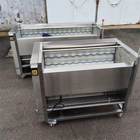 Volledig automatische fruitwasmachine met motor voor landbouwgebruik, lange levensduur
