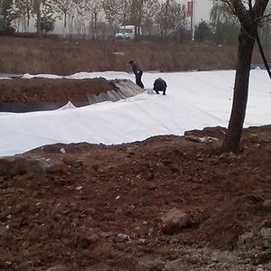 Tissu géotextile non tissé perforé par <span class=keywords><strong>aiguille</strong></span> blanche de <span class=keywords><strong>fibre</strong></span> d'agrafe pour le système de stabilisation de pente de port Geo Fabric - Product Image 3