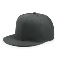 Gorra Deportiva de 5/6 Paneles de Alta Calidad al por Mayor, Diseño Personalizado, Logotipo Bordado en 3D, Gorra de Hip Hop con Cierre a Presión para Hombre