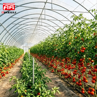 Film plastique PE EVA thermique anti-UV pour serre tunnel agricole, pour la culture de légumes et de fruits
