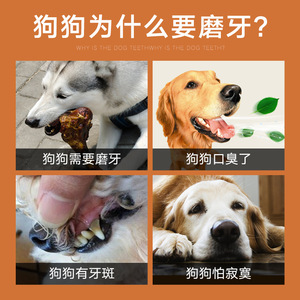 Friandises pour chiens Huayuan Hoopet pour races moyennes et grandes, durables, enrichies en calcium, fabriquées à partir d'os de jambe de bœuf naturel pour - Product Image 4