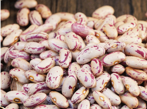 Haricots Blancs Premium Nouvelle Récolte Certifiés Biologiques Vente en Gros pour Fabricants Alimentaires Qualité Export - Product Image 5