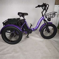 Tricycle Électrique à Assistance au Pédalage (Lithium) avec Moteur Avant et Pneus Larges de 20 Pouces, Modèle 2025, pour le Tourisme et le Transport de Marchandises (Vente en Gros Transfrontalière)