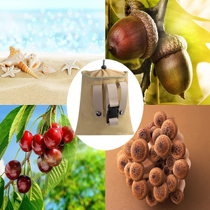 Bolsa de Cintura para Jardinería, Color Caqui, de Tela, para Almacenamiento de Herramientas sin Manos, Accesorio para Cinturón de Recolección de Frutas - Product Image 1