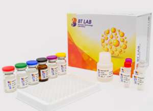Osteopontina umana E1525Hu, Kit ELISA OPN - Product Image 3
