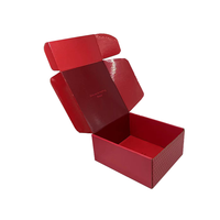Eco Luxe Rouge A4 Holographique Brillant Logo 12x9x4 Pas Cher Abonnement Postal Mailer Boîtes d'Emballage Papier avec Feuille Spécifications