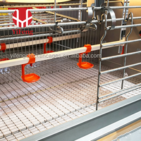 Système économique de cages d'élevage automatiques de type H pour poussins, avec accessoires complets, idéal pour les projets d'élevage avicole neufs