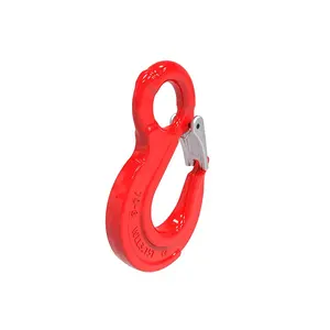 High Quality Hook Shenli Rigging Forged Hoist Hook/G80 High Strength Alloy Steel Safety Loaded Eye Type Hook With Latch