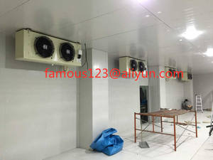 درجة حرارة عالية تستخدم مبرد الهواء ، المبخر التخزين البارد مع أفضل الأسعار DL-410 - Product Image 6