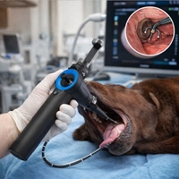 Endoscope vétérinaire réutilisable de 100 cm compatible Android pour l'extraction d'objets inconnus à 360° °   Contrôle de l'angle