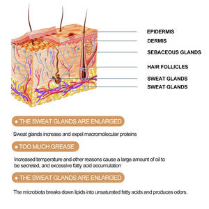 <span class=keywords><strong>Citronnelle</strong></span> à base de plantes déodorant aisselles élimination des odeurs crème hydratante pour un usage quotidien forme liquide - Product Image 5