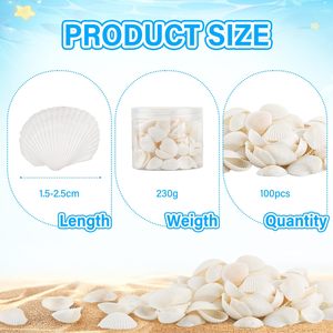 <span class=keywords><strong>100</strong></span> Uds. De conchas marinas de 1,5-2,5 CM, conchas marinas pequeñas blancas para pintura DIY, decoración de boda, conchas naturales de playa a granel - Product Image 2