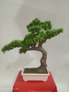 Se puede utilizar en el interior del coche o en el exterior. - Product Image 6