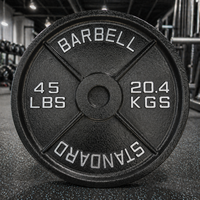 Disques de poids en fonte de 45 livres, surface peinte à effet martelé, pour musculation, fitness, haltérophilie, powerlifting, usage domestique et commercial