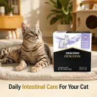 Supplément Probiotique en Gros pour Chats : Santé Digestive, Soulagement de la Diarrhée, Poudre Hyperprotéinée 4g, Durée de Conservation de 2 Ans, pour Chats, OEM