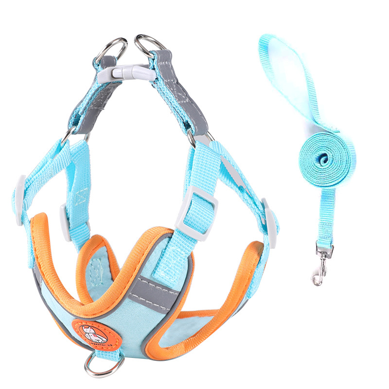 1Harness+1 leash