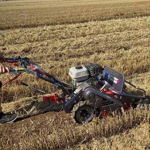 Trinciaerba da Frutteto da 7.5hp con Restituzione dell'<span class=keywords><strong>Erba</strong></span> Sfalciata, Cippatore, Tosaerba Manuale - Product Image 6