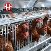 Système de cage à poulets de type A avec alimentation et abreuvement automatiques, en fil galvanisé durable, facile à assembler, pour élevage avicole commercial haute densité
