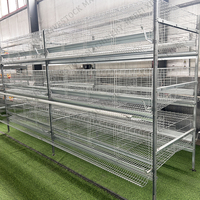 Cage à poulets de type H pour l'élevage de poules pondeuses, cages automatiques pour l'agriculture avicole, cages à batterie pour poulets, poulailler galvanisé, cage à poulets en vente