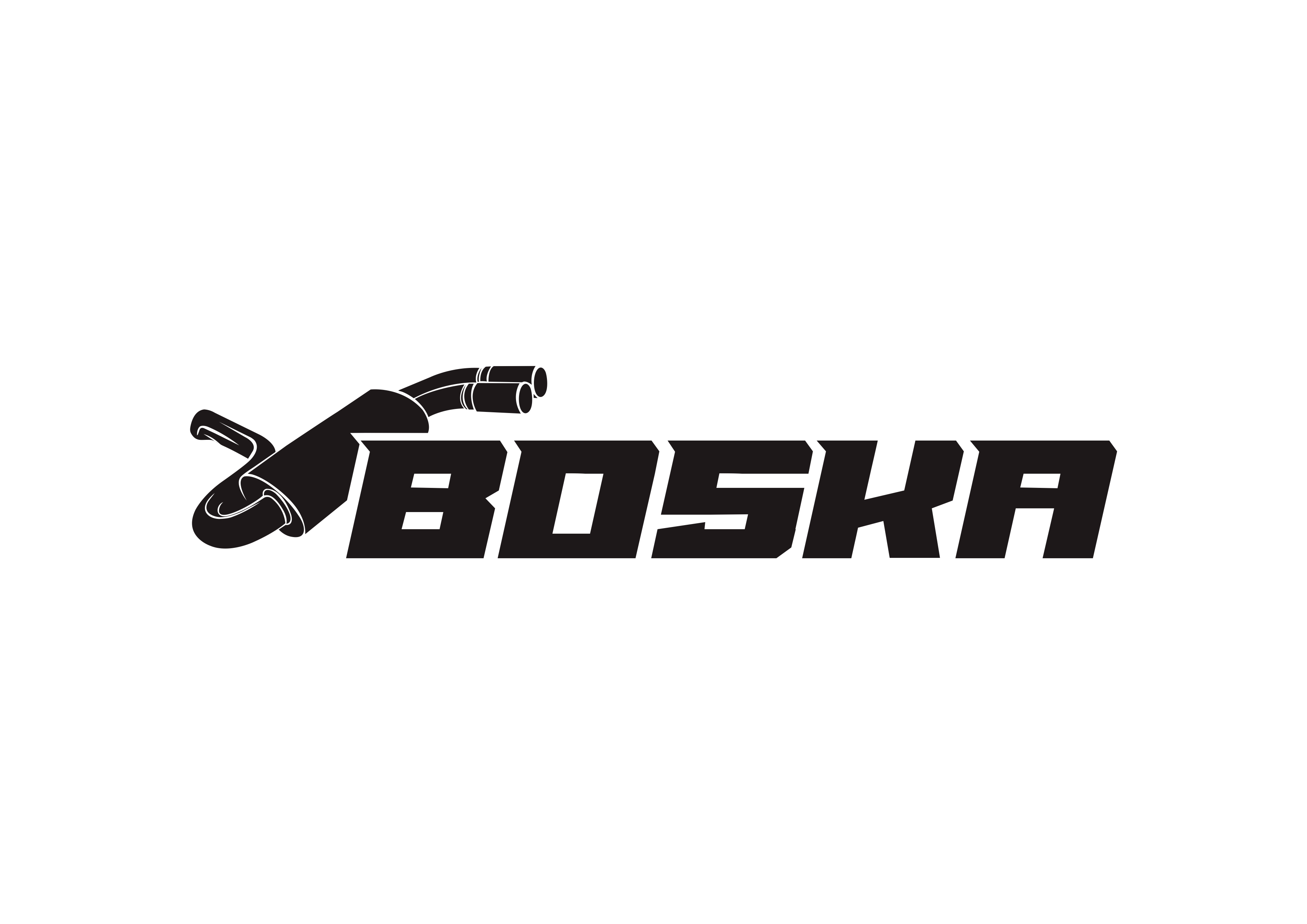 Hong Kong Boska Automotive Technology Co., Limited logo