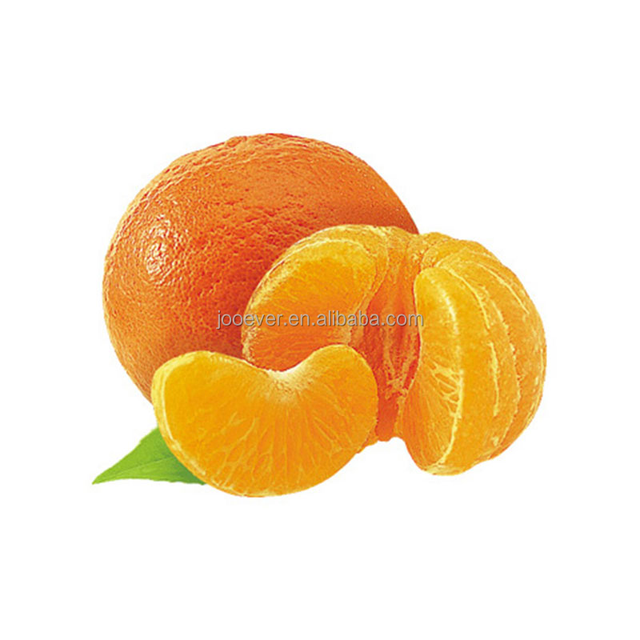 IQF Frozen Mandarin Orange Segment Wholesale BRC HACCP ISO Approved Premium Quality Frozen Fruits Origin China